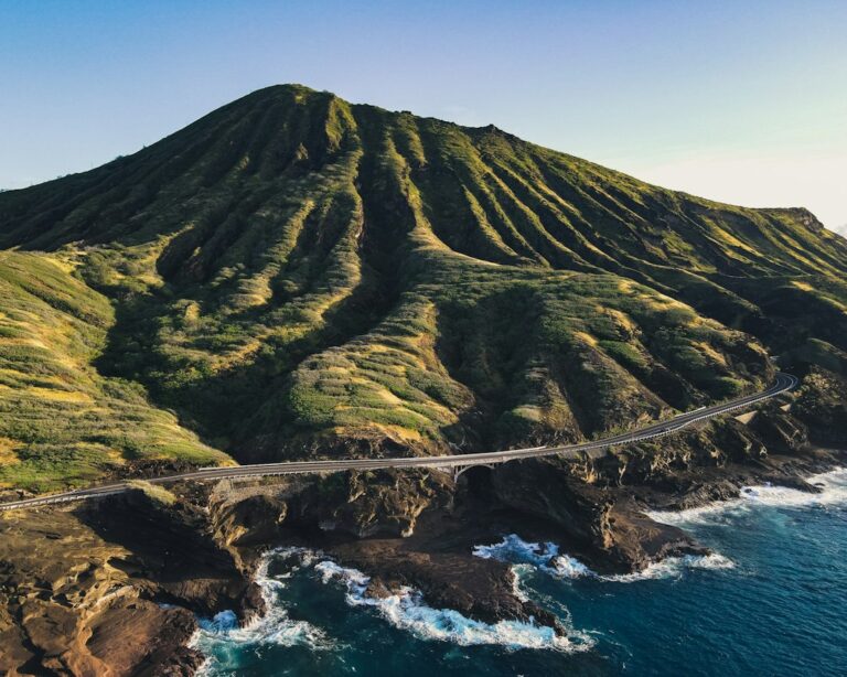 Puu Loa Petroglyph Plankwalk: Kilauea Coastal Interpretive — photo by @jko001 on Unsplash
