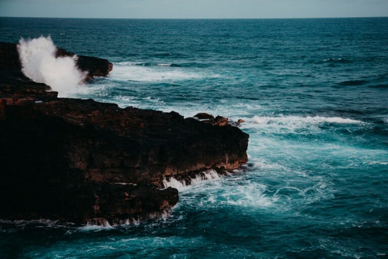 Hana Highway Mile-Marker Sequence: Paia to Hana Roadside Pullouts — photo by @trenthaaland on Unsplash