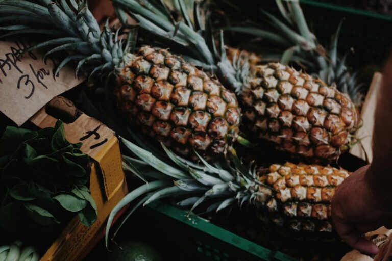 Pahoa Puna Farmers Market Alternatives Cluster — photo by @angelaleshch on Unsplash