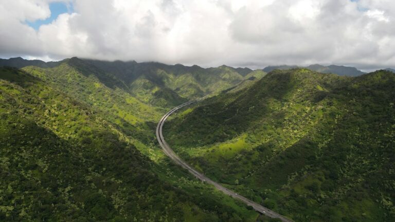 Cost of Car Insurance in Hawaii: What New Residents Actually Pay — photo by @manzomiguel on Unsplash