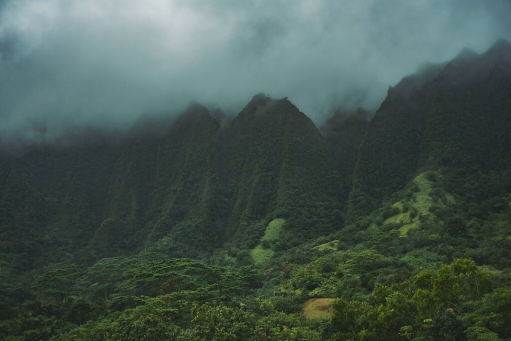 Kauai Rainy November-March Traveler Packing Checklist — photo by @jmiller7176 on Unsplash