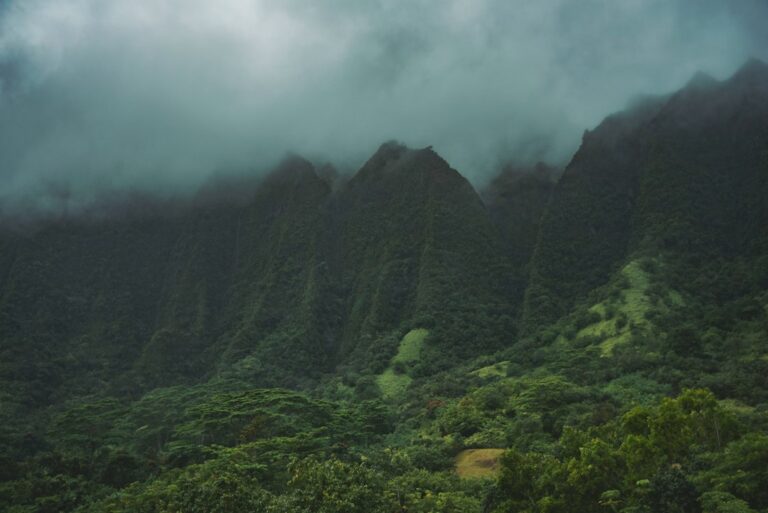 Kauai Rainy November-March Traveler Packing Checklist — photo by @jmiller7176 on Unsplash