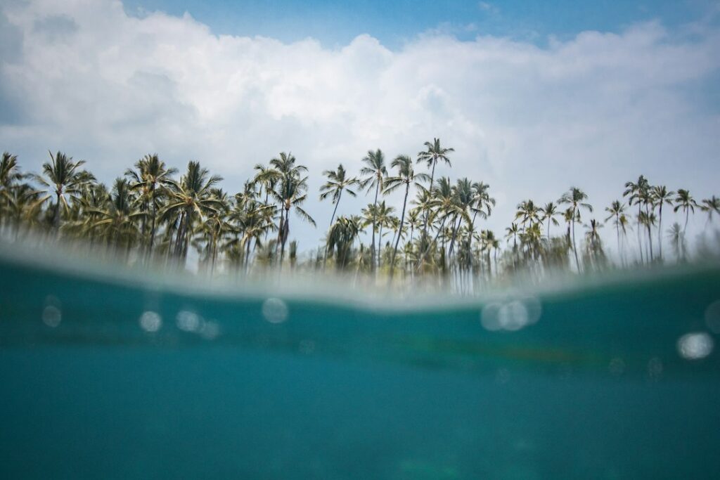 Best Snorkeling on Oahu: Hanauma Bay, Shark’s Cove, Kahe Point — photo by @jeremybishop on Unsplash