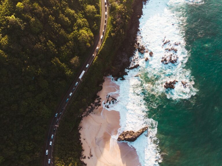 Best Luaus in Hawaii: Comparing the Major Commercial Shows — photo by @shenny_visuals on Unsplash