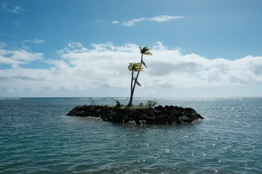 Kua Bay Kekaha Kai: Kona Coast White Sand Rough Drive-In — photo by @sahe_201 on Unsplash