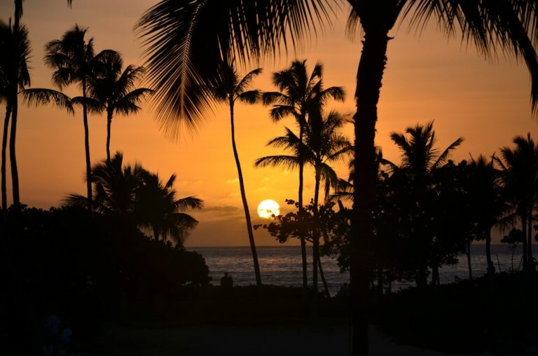Hawaii in March (2026): Whales, Weather, Pricing & Where to Base — photo by @coachpotatoes on Unsplash
