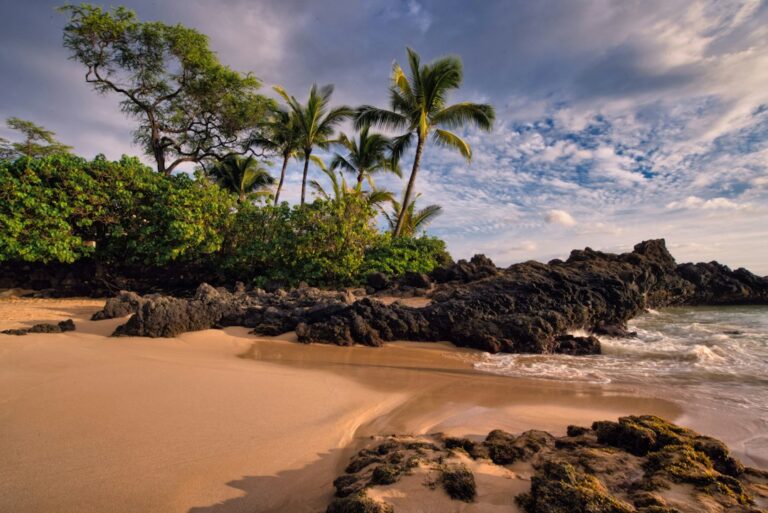 Ocean Temperature in Hawaii: How Warm It Gets and When — photo by @debrupas on Unsplash