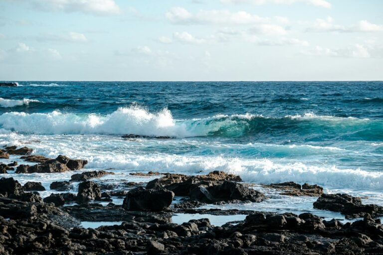 Hawaii Dental Licensure: Board of Dentistry Endorsement for DDS and DMD — photo by @s_kye12 on Unsplash
