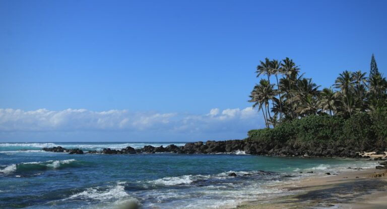 Hawaii Disabled Veteran Property Exemption: 100% Service-Connected Filing — photo by @josh3rsmith on Unsplash