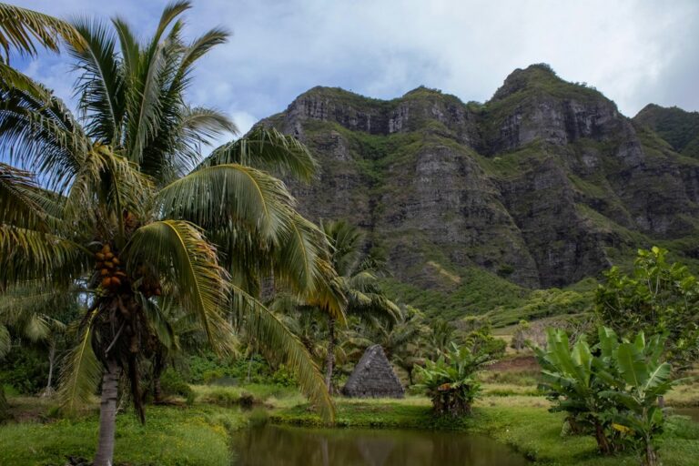Tunnels Reef Kauai Haena: Winter Surf Cutoff and Reef Currents — photo by @bcmarble31 on Unsplash