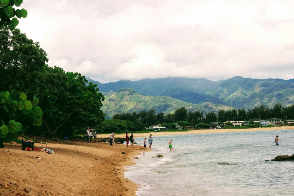 Costco in Hawaii: Locations, What’s Worth Buying, and What to Skip — photo by @megjenson on Unsplash