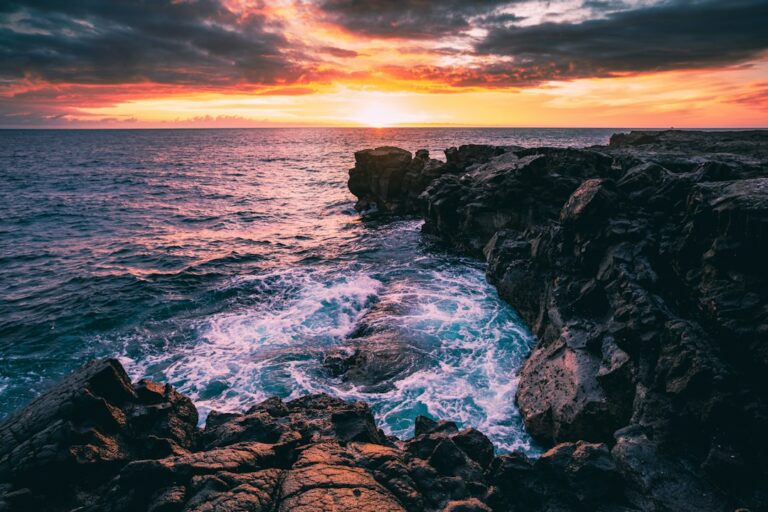 Hanauma Bay Reservation: 48-Hour Booking Window and $25 Entry — photo by @sleepless_explorer on Unsplash