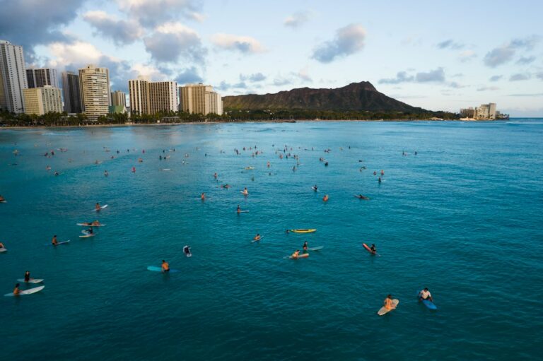 Hawaii Backflow Prevention Device: Annual Test Filing With BWS — photo by @laniel on Unsplash