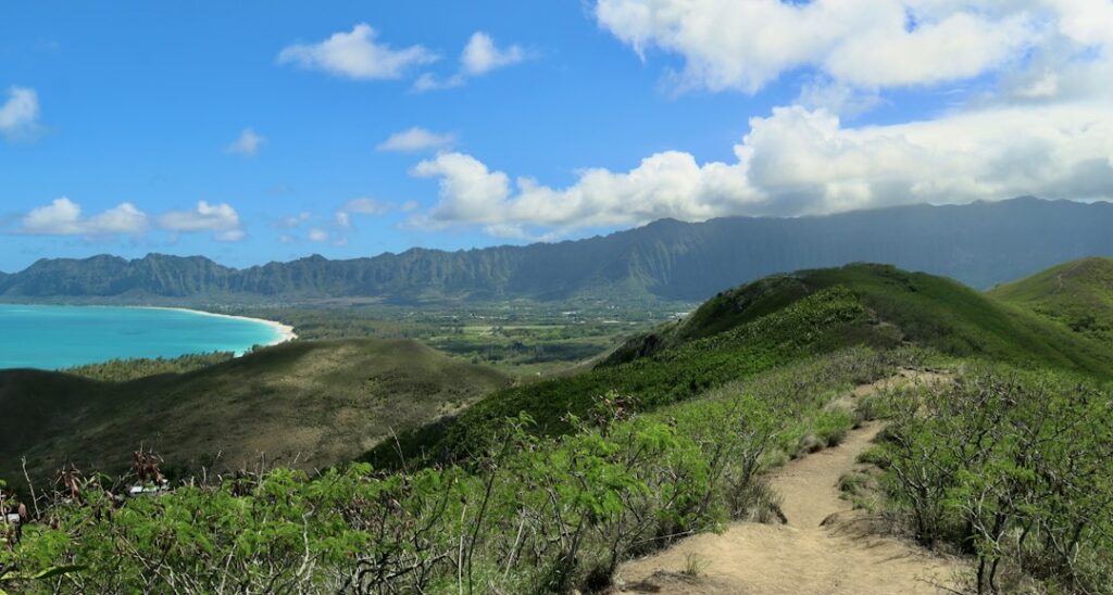 Hawaii Brackish Well Drilling Permit: CWRM Approval and Chloride Testing — photo by @josh3rsmith on Unsplash