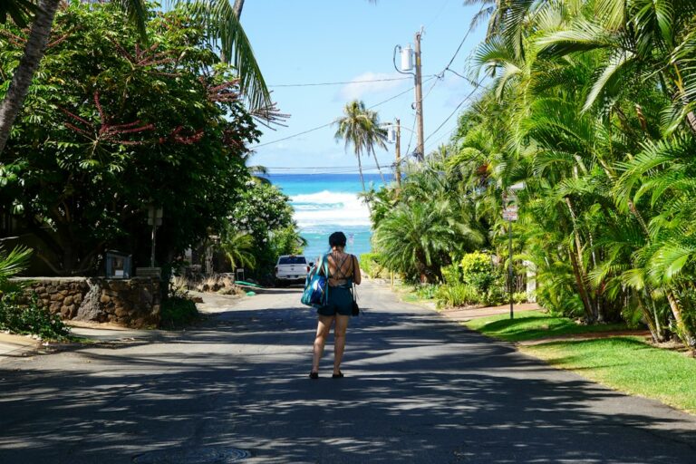 Hawaii Geothermal Lease Royalty: DLNR PUC Resource Framework — photo by @emtm17 on Unsplash