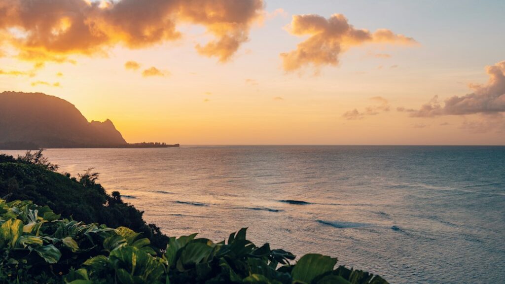 Kaanapali Humpback Migration Peak January-March Vantage — photo by @sgabriel on Unsplash