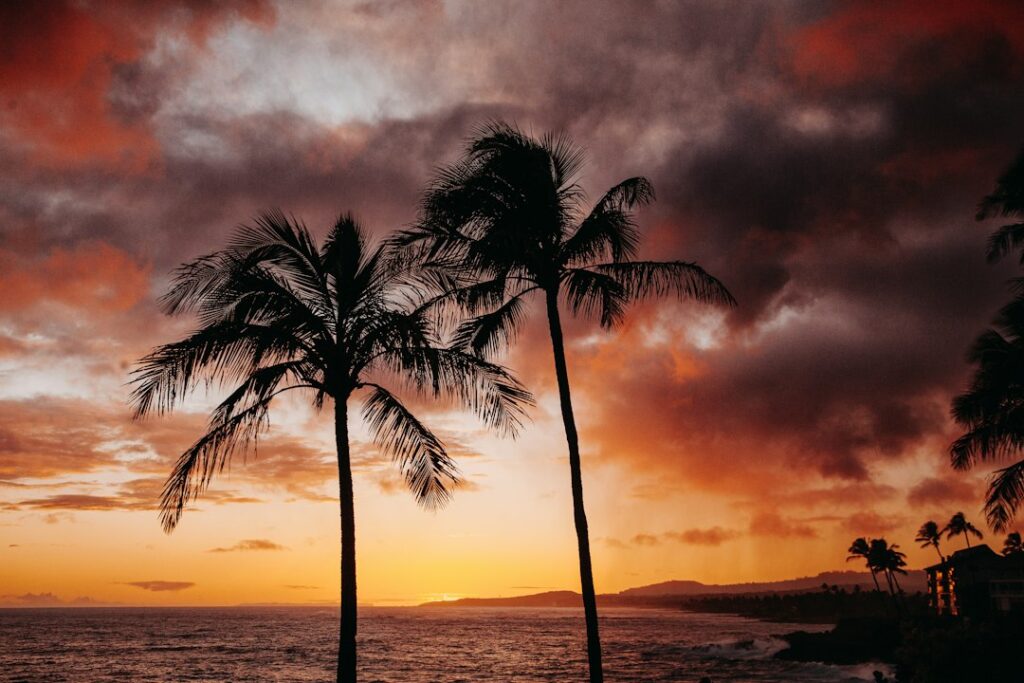 Puako Fringe Sunrise Tidepool: Kohala Fossil Coral Shelf — photo by @trenthaaland on Unsplash