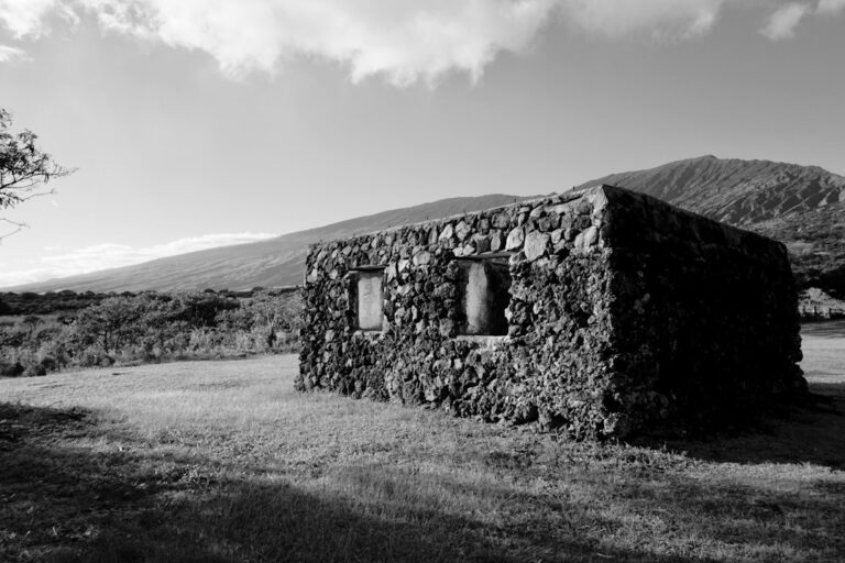 Kula Upcountry Maui Farmstay Overnight Booking Lead — photo by @giogun on Unsplash