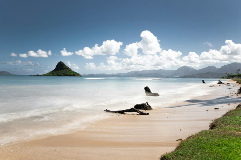 Total Cost of Moving to Hawaii: Household Goods, Car, Pets, Flights — photo by @gen035 on Unsplash