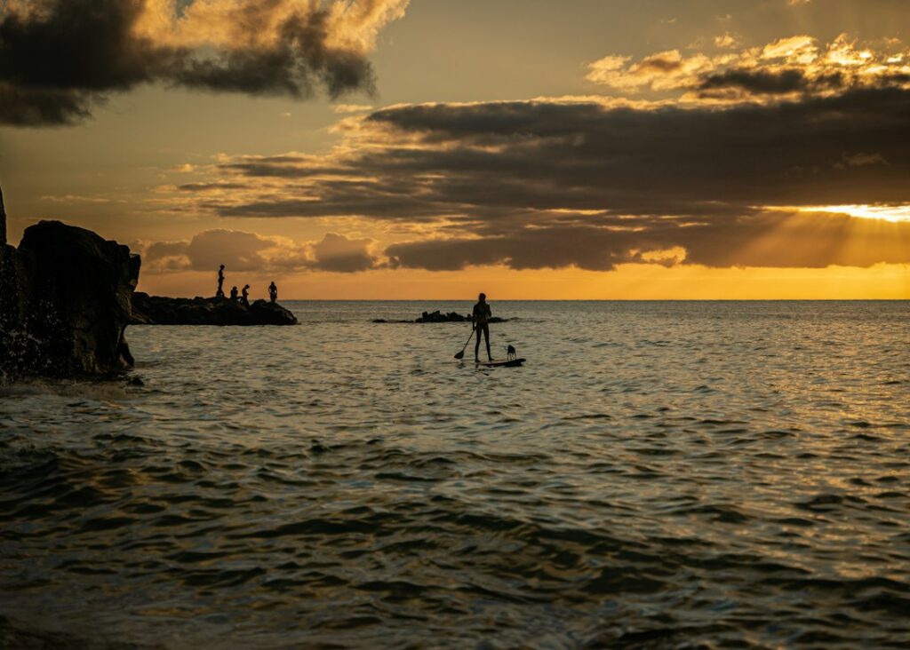 Pharmacist Licensure in Hawaii: Board Reciprocity and MPJE Requirements — photo by @jair0g0nza on Unsplash