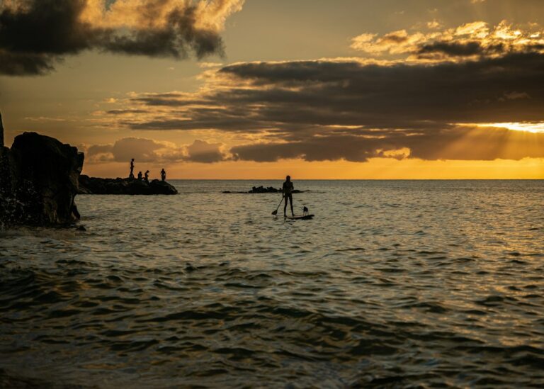 Pharmacist Licensure in Hawaii: Board Reciprocity and MPJE Requirements — photo by @jair0g0nza on Unsplash