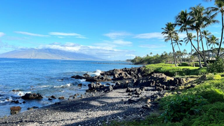 Hawaii Medicaid I/I Waiver: DDD Eligibility and Service Coordinator Assignment — photo by @greenmotion on Unsplash