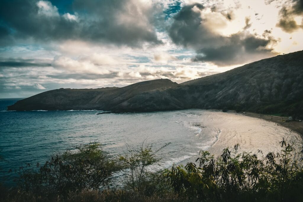 Portuguese Man O’ War Hawaii: Wind Direction Patterns and First Aid — photo by @chriscantlose on Unsplash