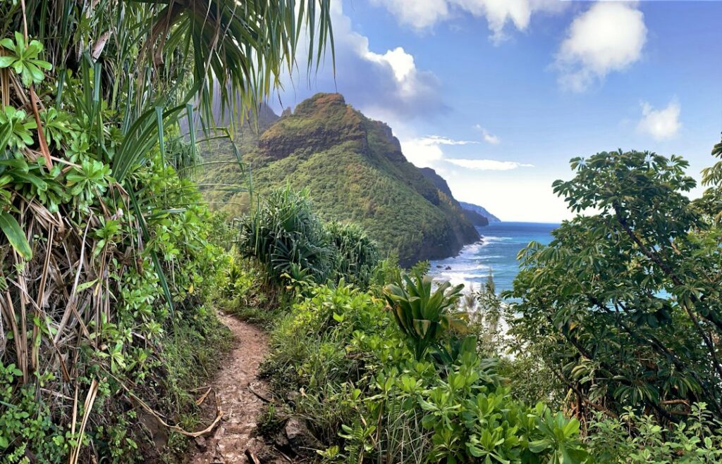 Leptospirosis on Hawaii Waterfall Trails: Fresh Water Exposure Risk — photo by @integerpoet on Unsplash