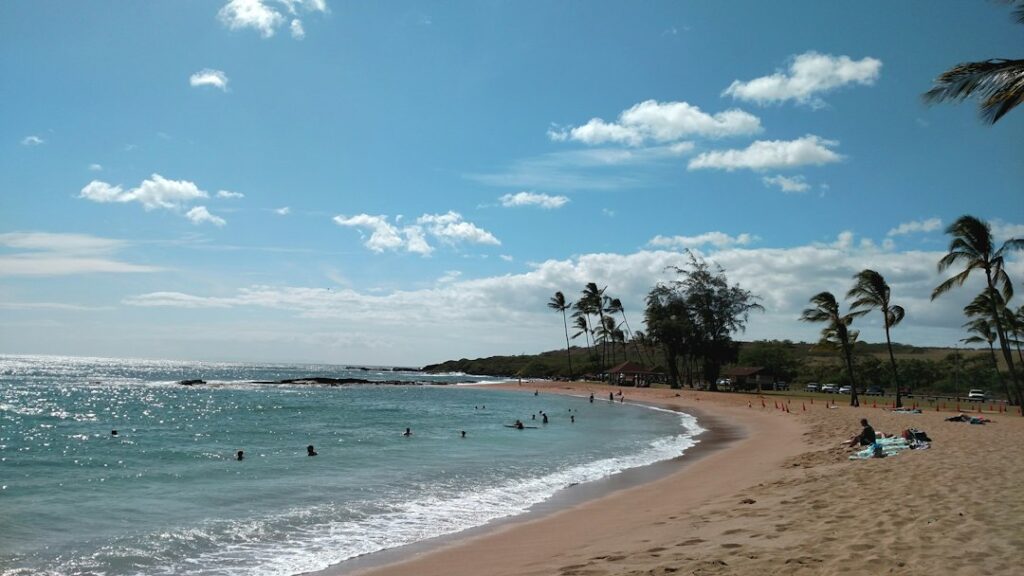 Hawaii Birth Certificate Apostille: LG Office Authentication — photo by @valkyriepierce on Unsplash