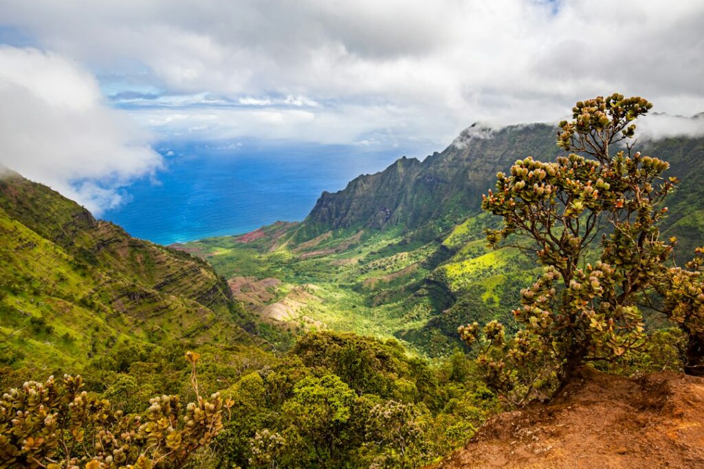 Kalalau Trail Overnight Camping: Napali Coast Reservation Cadence — photo by @jasoncarnegiephotographykauai on Unsplash