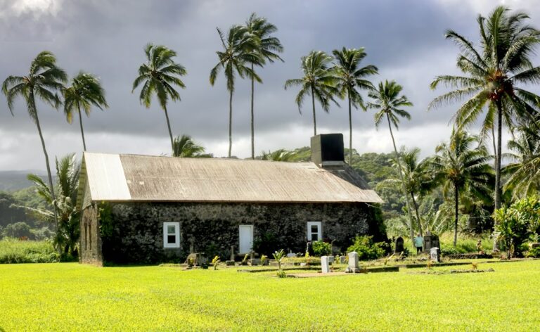 Cost of Healthcare in Hawaii: Coverage, Access, and What to Budget — photo by @bullterriere on Unsplash