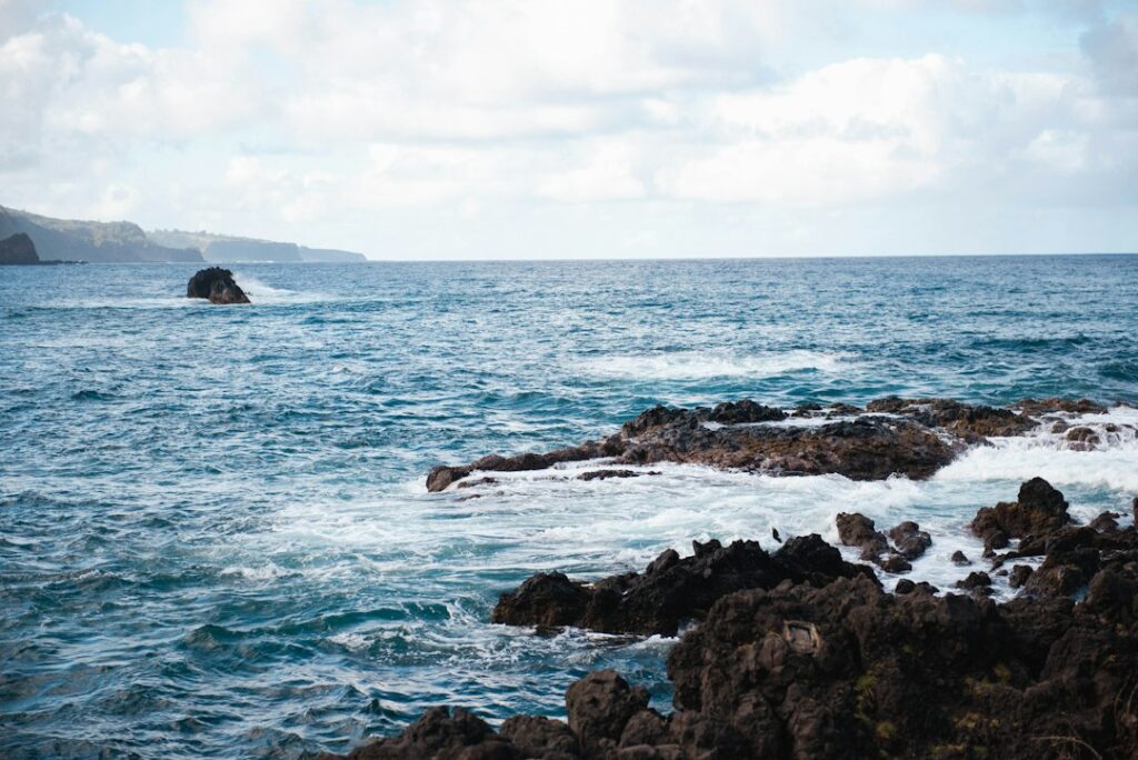Hawaii HI-5 Deposit Beverage Container Redemption Mechanics — photo by @shionadas on Unsplash