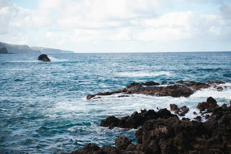 Hawaii HI-5 Deposit Beverage Container Redemption Mechanics — photo by @shionadas on Unsplash