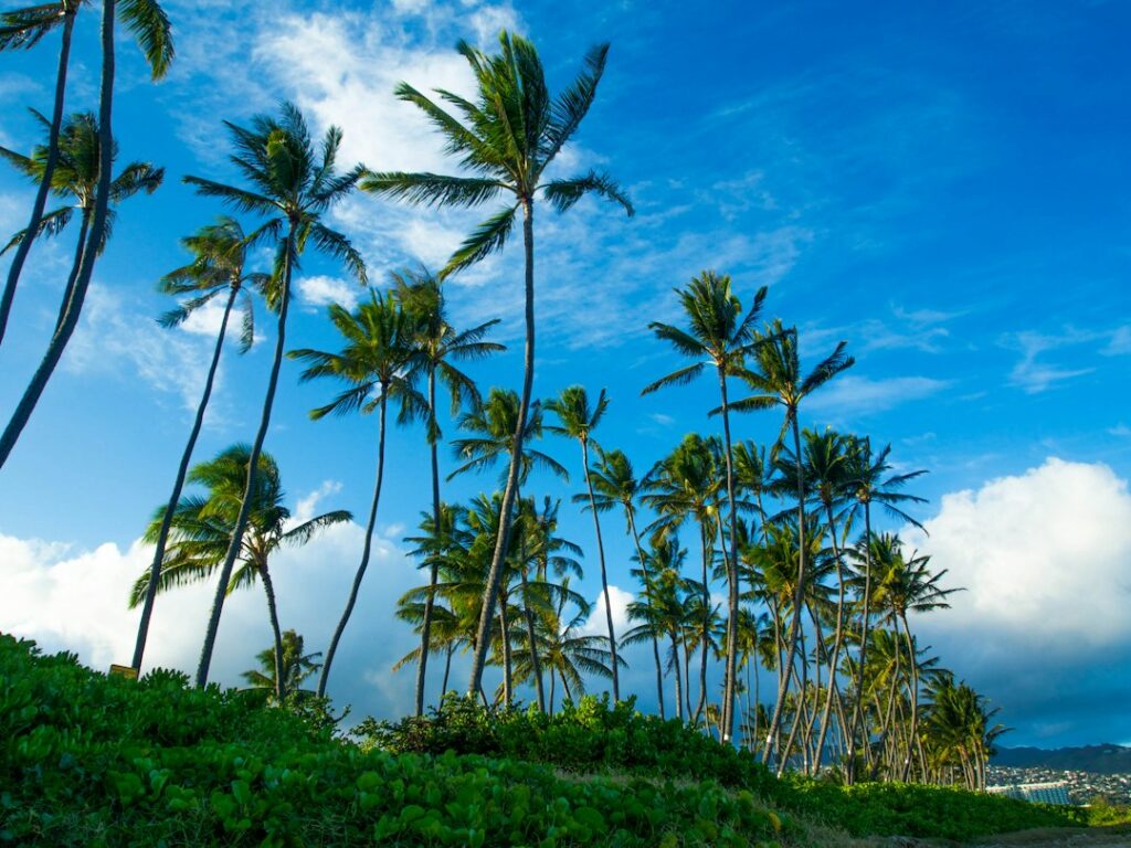 Hawaii NEM Successor Tariffs: Customer Grid Supply Plus and Smart Export — photo by @starwarsgirl on Unsplash