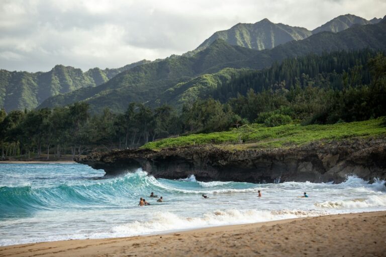 Do You Need a Passport for Hawaii? What TSA Accepts at HNL — photo by @cncs on Unsplash