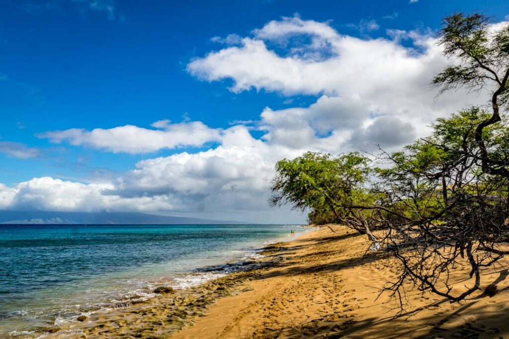 Kukuihaele Waipio Overhead Prospect: Hamakua Valley Vantage — photo by @johnbellphoto on Unsplash