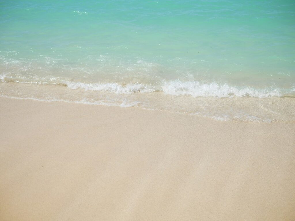 Hawaii Trade Name vs LLC: DCCA BREG Naming Decisions — photo by @smoothjazz on Unsplash