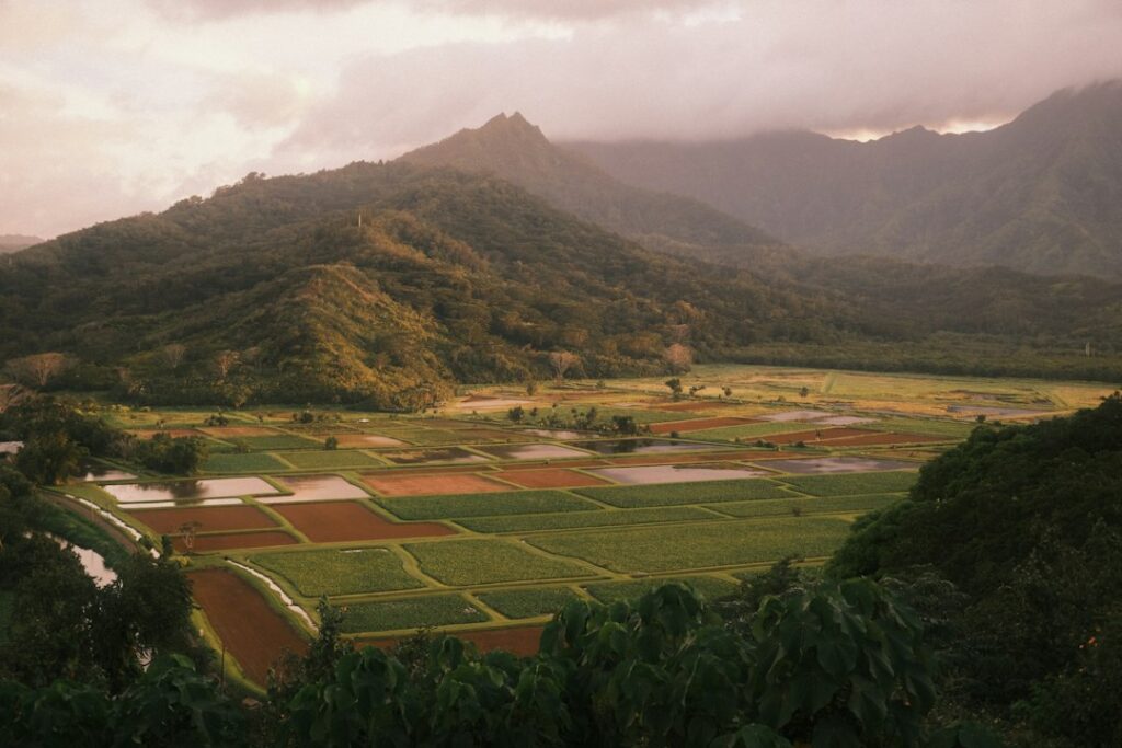 Puna Pahoa Nightly Farmstay Rate Range vs HVNP Village Cluster — photo by @kirbyyardley on Unsplash