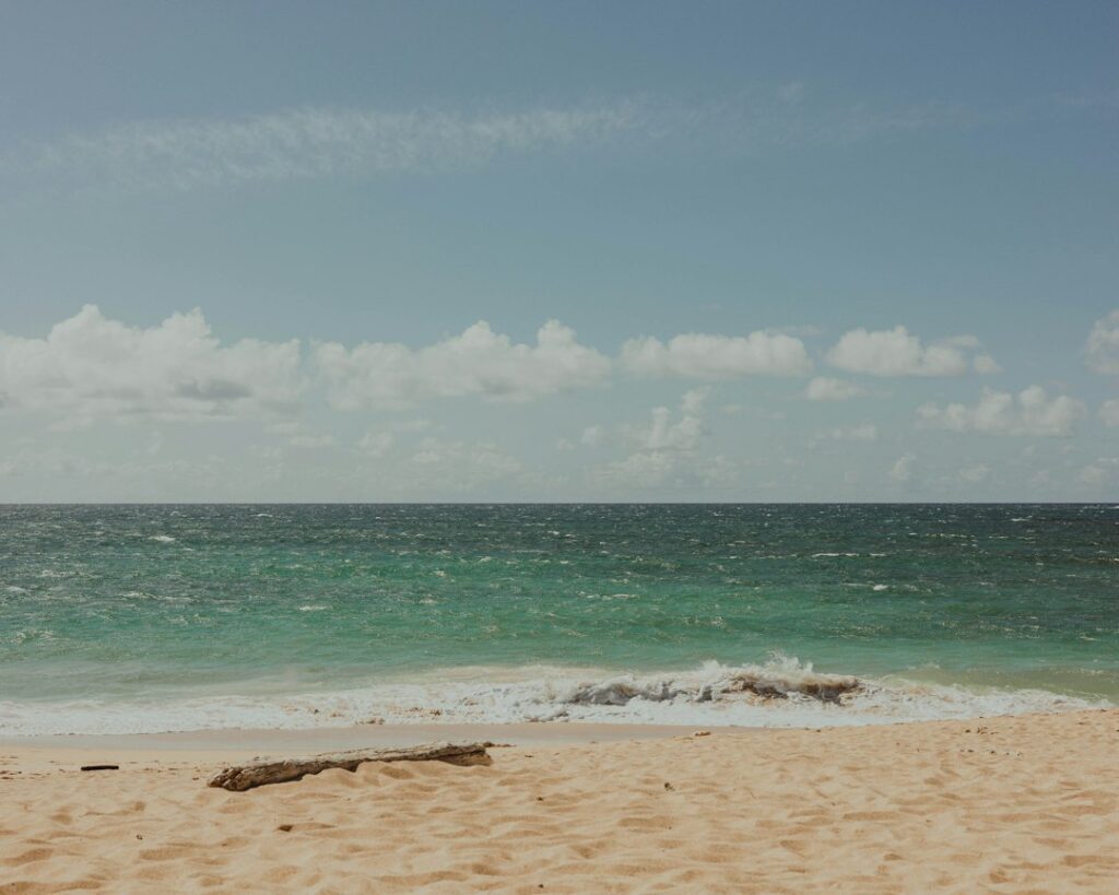 Kealia Ponds Wildlife Refuge Kihei: Interpretive Wooden Deck Length — photo by @megnixon on Unsplash