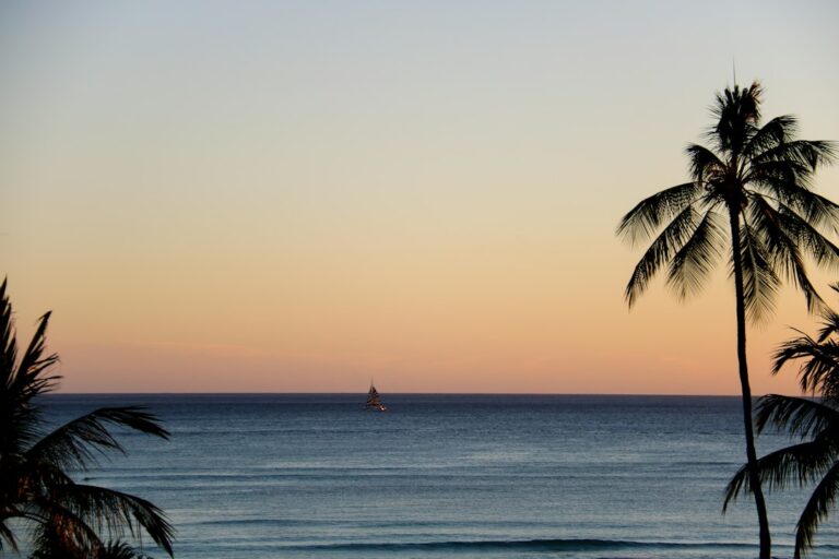 Hawaii Boat Mooring Permit: DLNR DOBOR Harbor Berthing — photo by @photoswithalexa on Unsplash