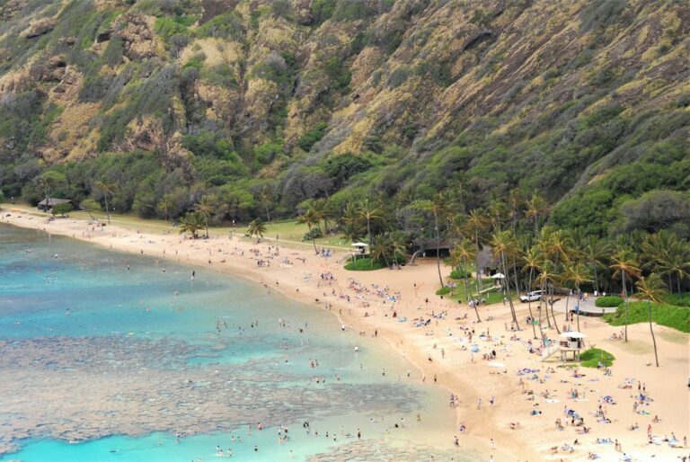 Hawaii Shoreline Certification: SMA Setback Rules and DLNR Survey Process — photo by @briankairuz on Unsplash