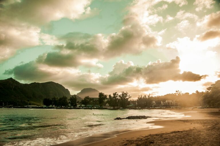 Hawaii Box Jellyfish Warnings: When to Avoid Waikiki Waters — photo by @dbeltwrites on Unsplash