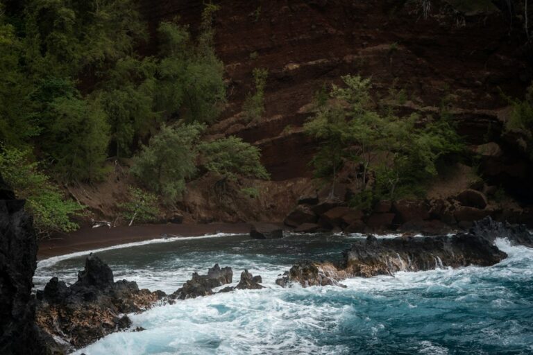 Hawaii Cesspool Conversion Law (Act 125): What Buyers and Sellers Must Know — photo by @alexgoesglobal on Unsplash