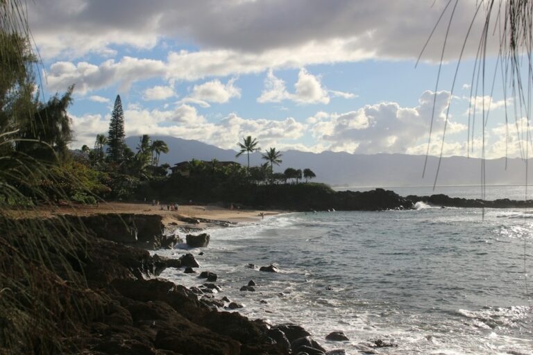 Moving from Virginia to Hawaii: Complete 2026 Guide — photo by @zeedoesnotcare on Unsplash