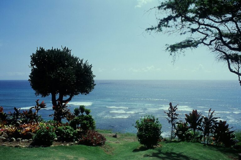 Hawaii vs Oregon: Cost of Living Comparison (2026) — photo by @randylaybourne on Unsplash