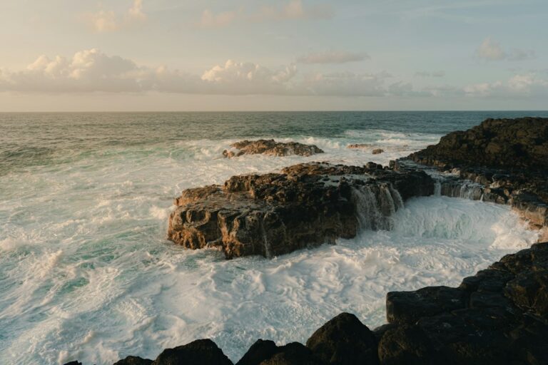 Puu Poa Princeville: Cliff Descent to Hideaways Coral Cove — photo by @oxendine_ on Unsplash