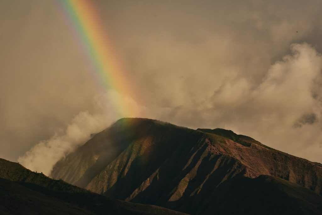 Mold and Humidity in Hawaii Homes: Prevention for New Residents — photo by @catebligh on Unsplash