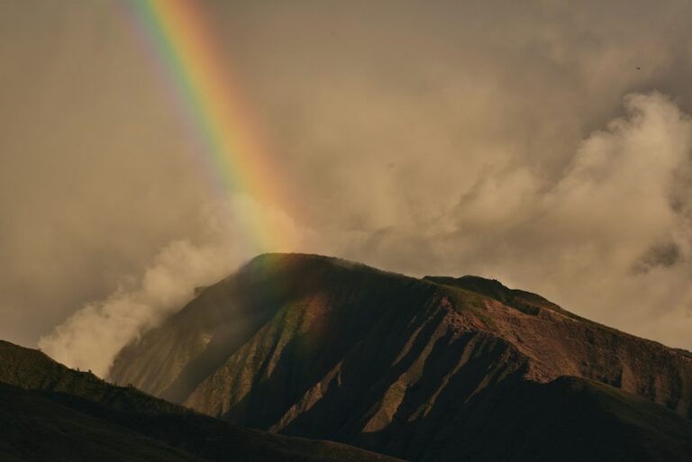 Mold and Humidity in Hawaii Homes: Prevention for New Residents — photo by @catebligh on Unsplash