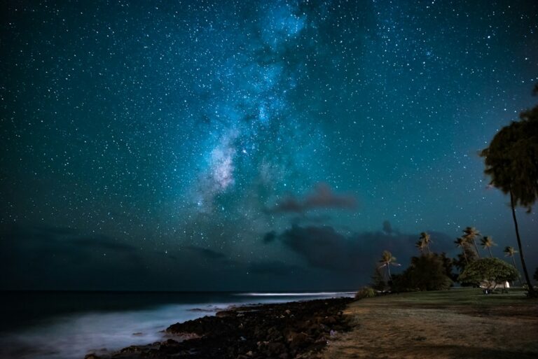 Hawaii Trust Decanting Under HRS 554D: Restating Irrevocable Trusts — photo by @mischievous_penguins on Unsplash