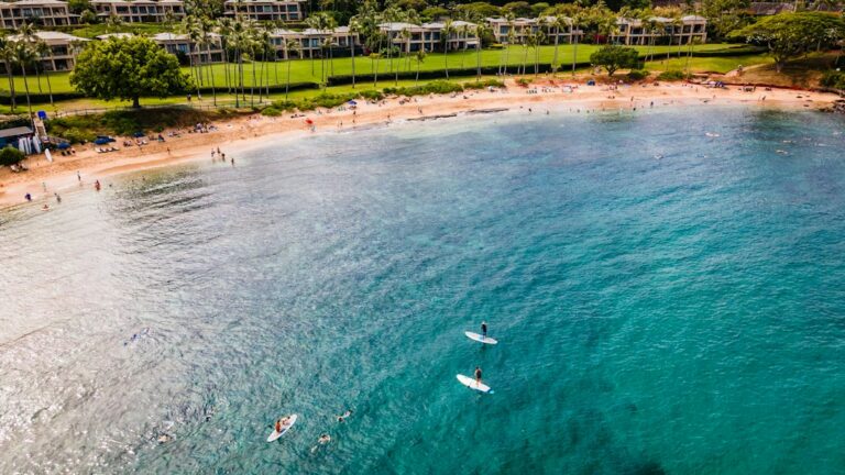 Blackrock Kaanapali Dusk Snorkel: Puu Kekaa Turtle Vista — photo by @johnbellphoto on Unsplash